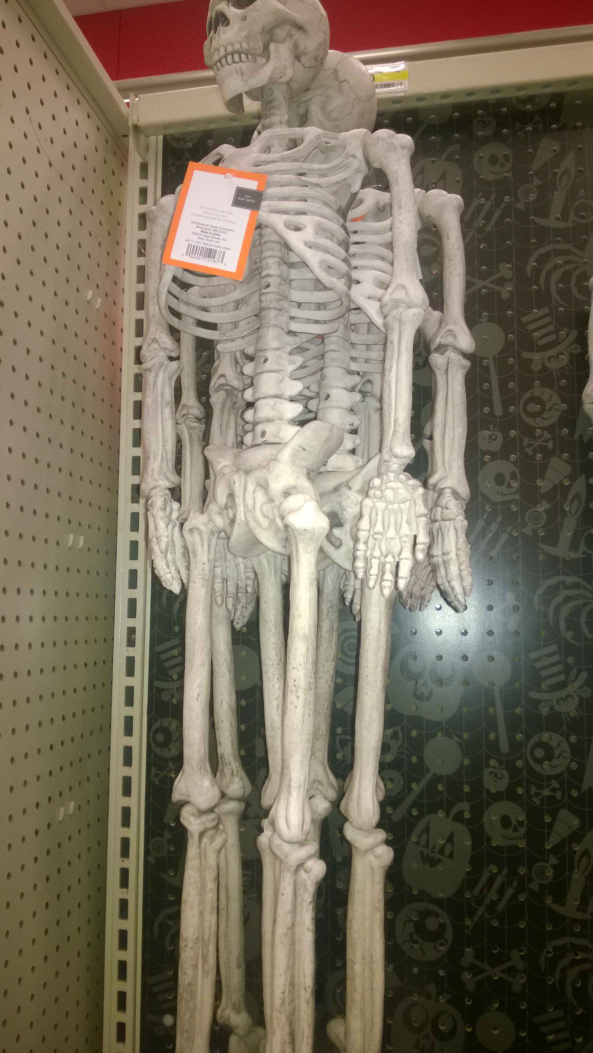 A full-length hanging skeleton decoration on a retail display.